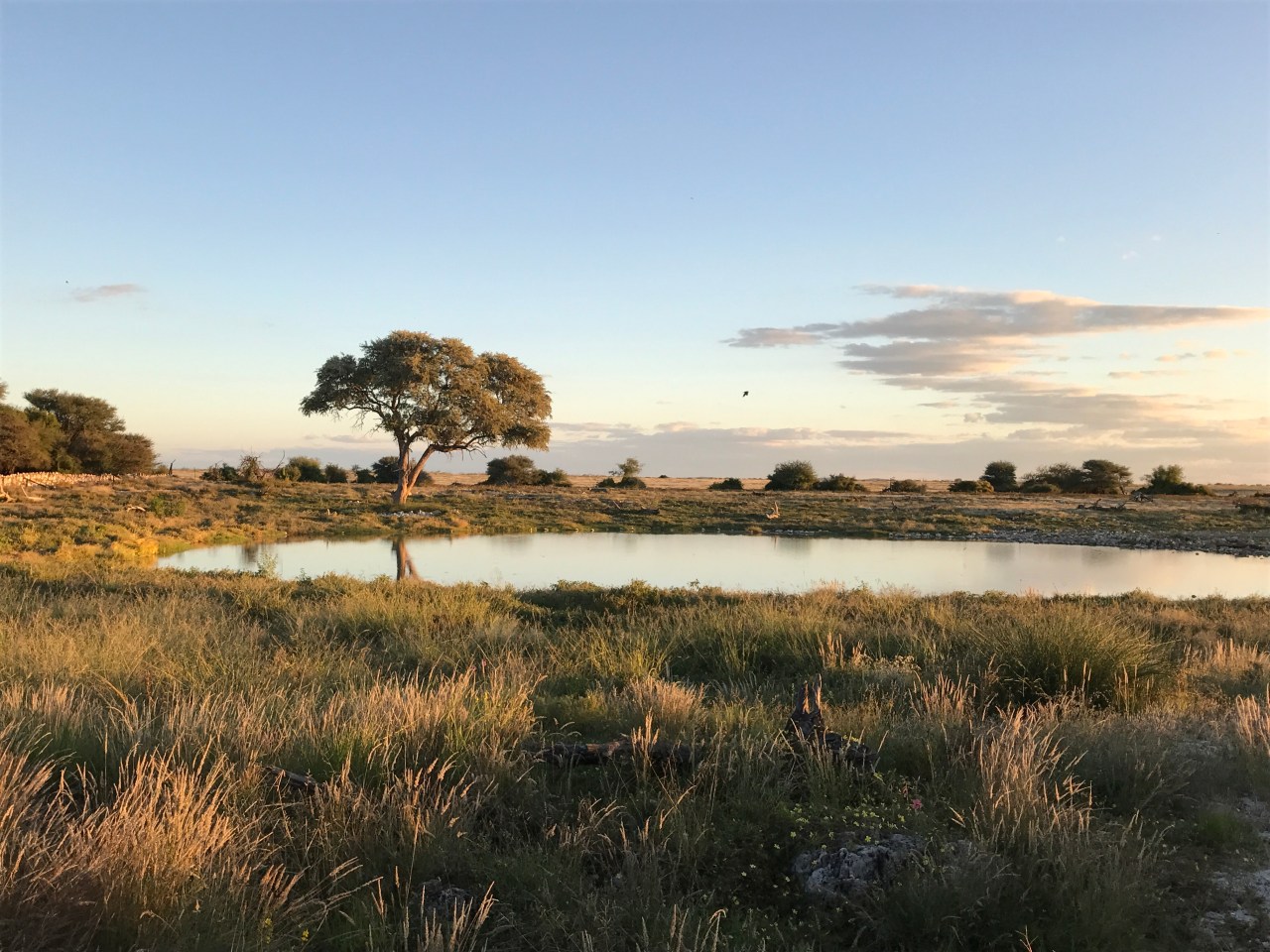 Etosha National Park