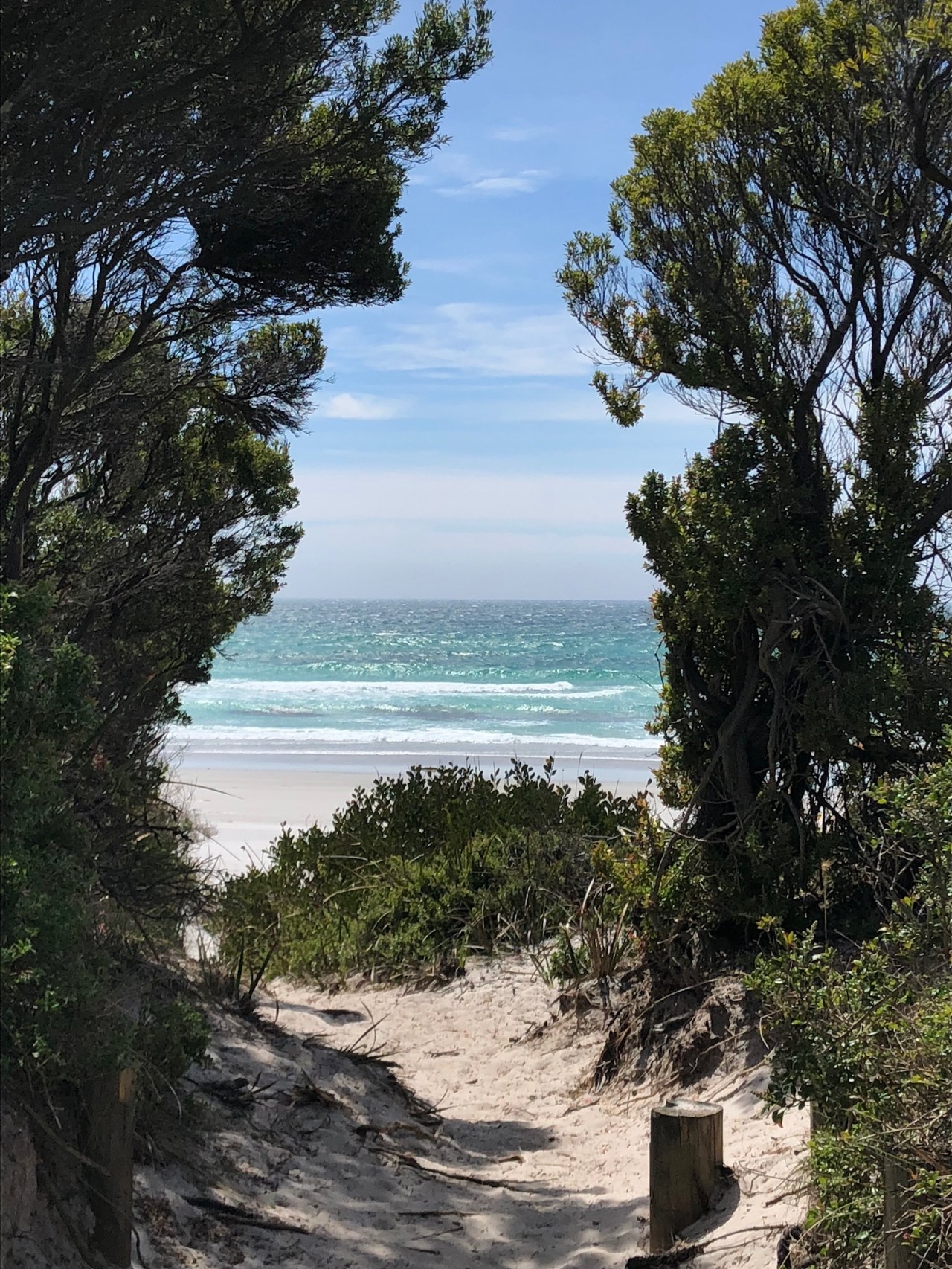 0981A055-ED33-4FC6-8725-50A7C6A1DEE5