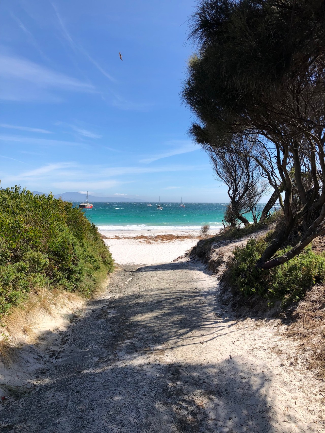 33DC009A-E575-4FD6-B345-A3634B5D67BD