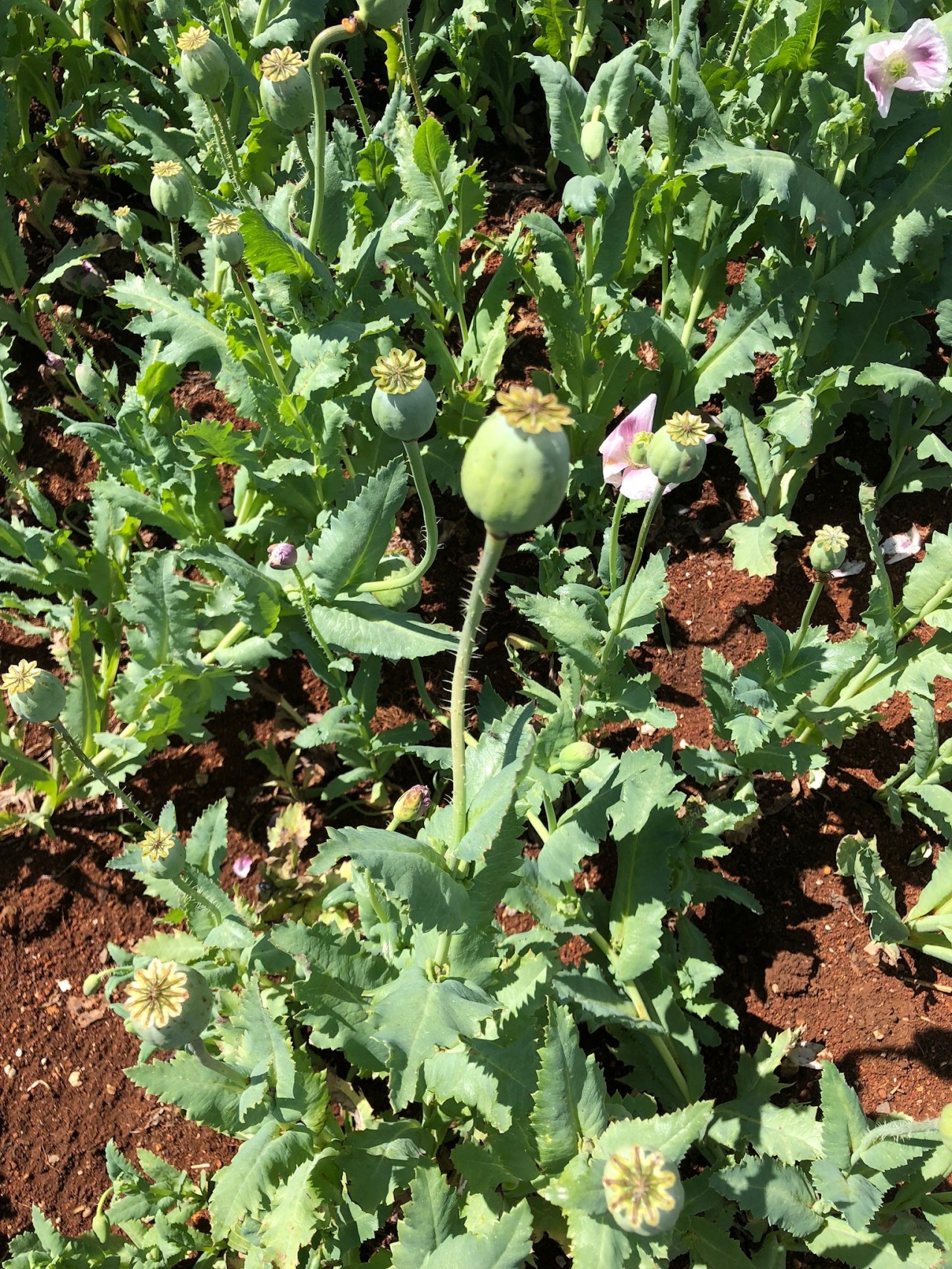 4AEEE10E-E766-4588-BD17-B2EAA9328F49