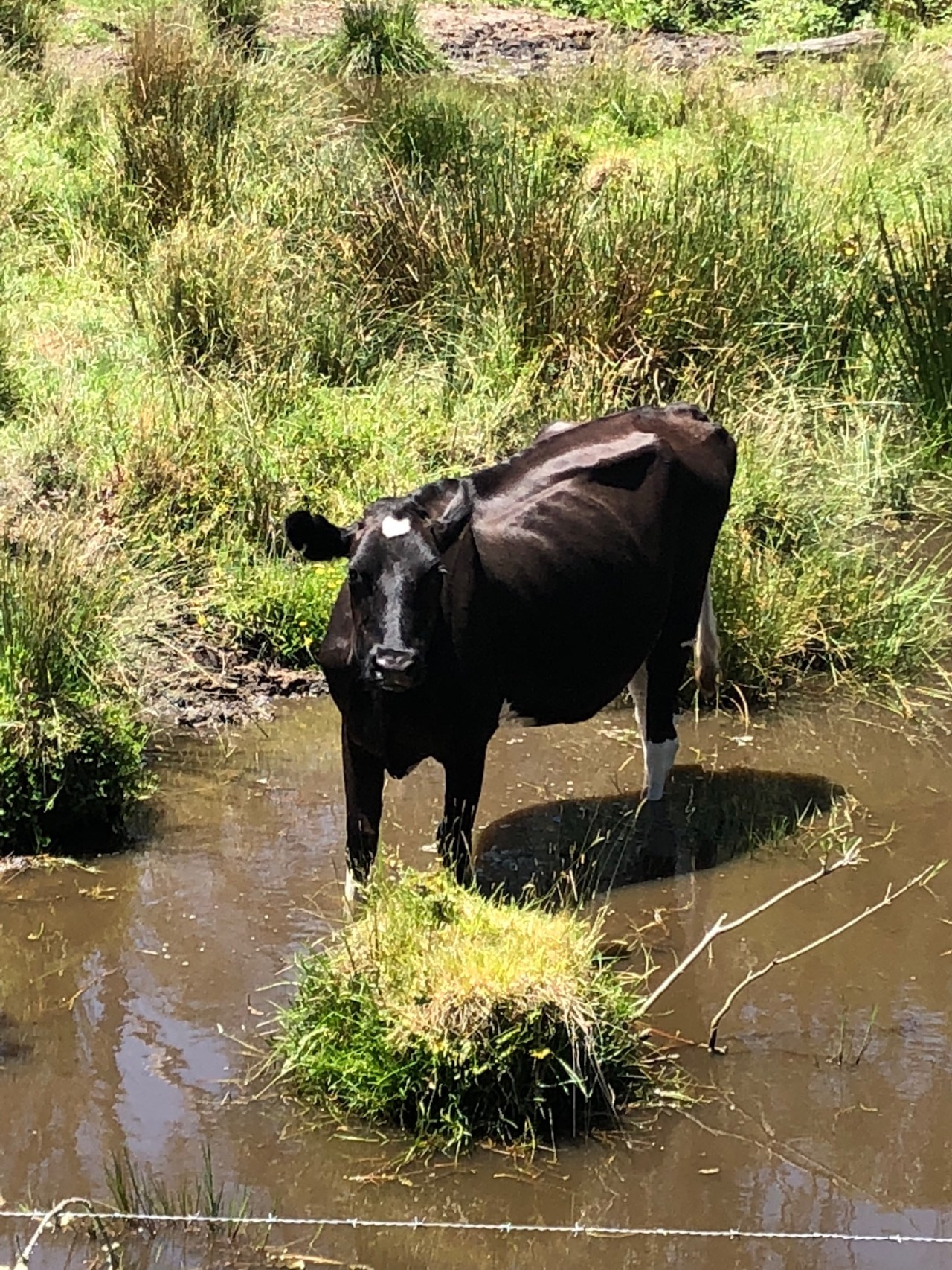 7650B092-DCDF-4488-B80A-B367A6C54F06