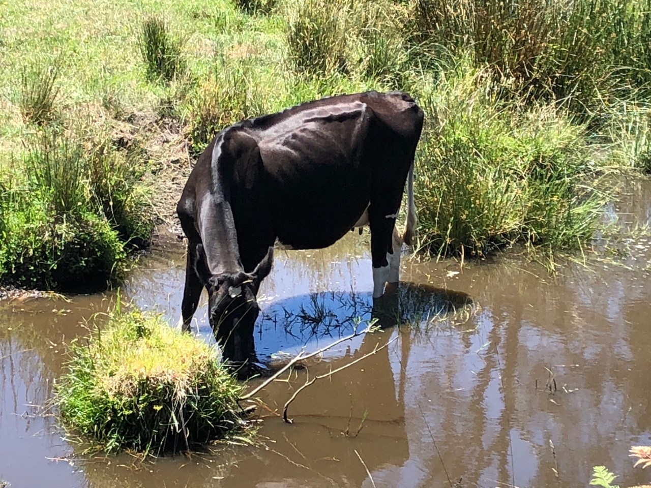 7F8D80D7-D8AE-4431-A939-91602880EC40