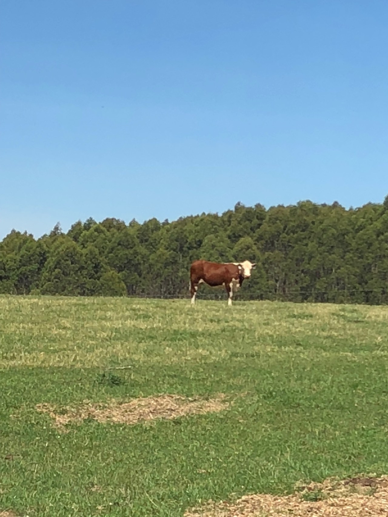 B5F2E651-AD1F-472C-97BB-A62D59CE137F