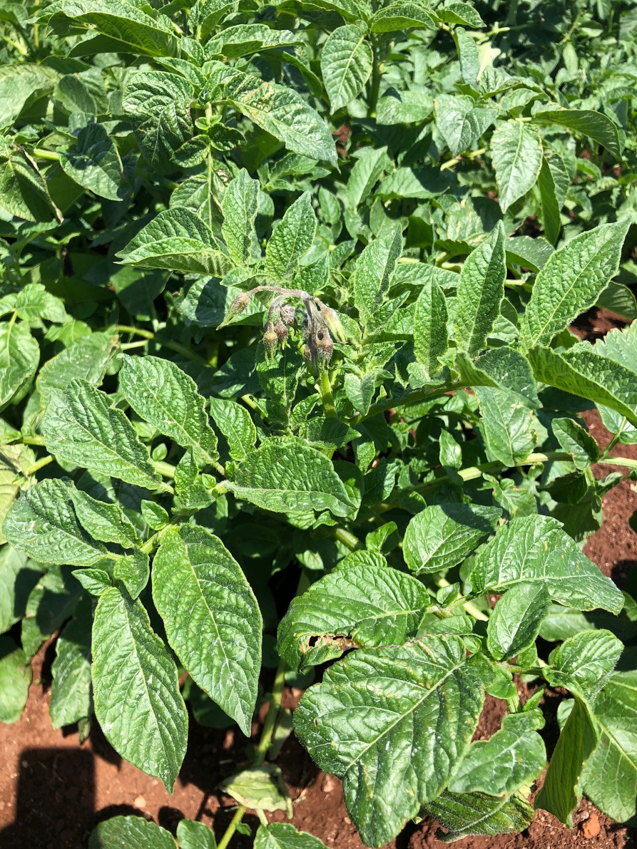 C2663B81-ED21-4759-8045-3E922571935C