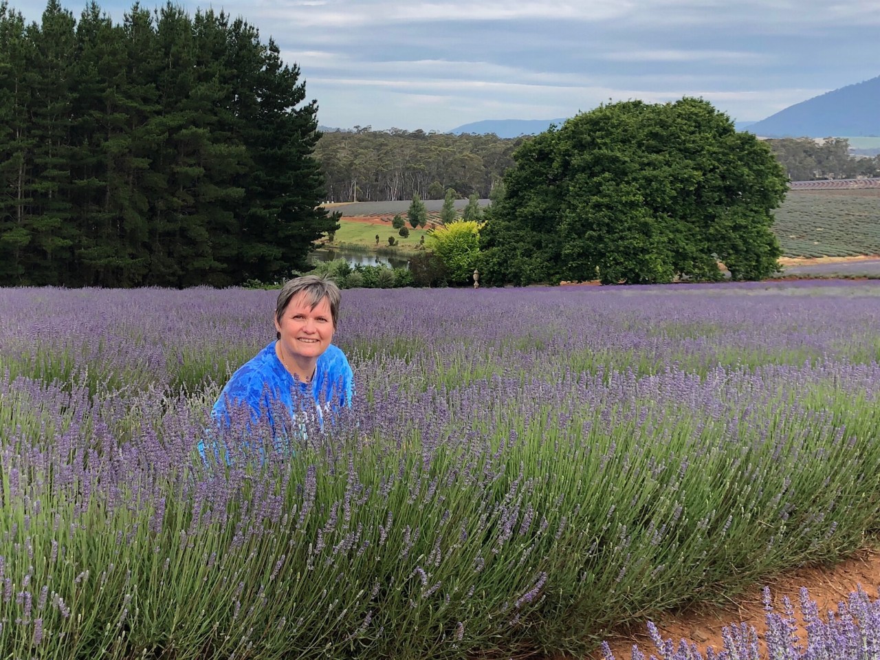 The Convict Hiway to&nbsp;Swansea