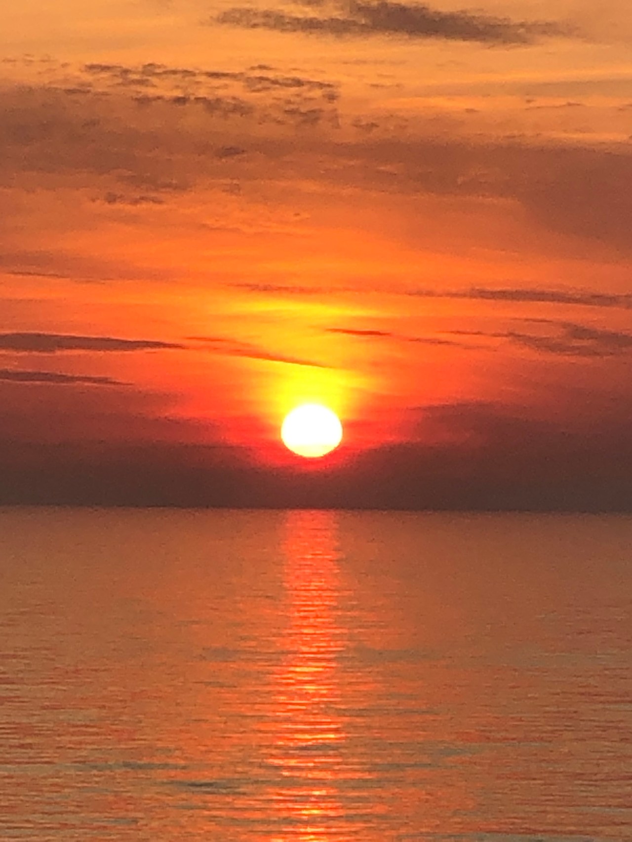 04490D11-9BC6-4251-9109-961643009370