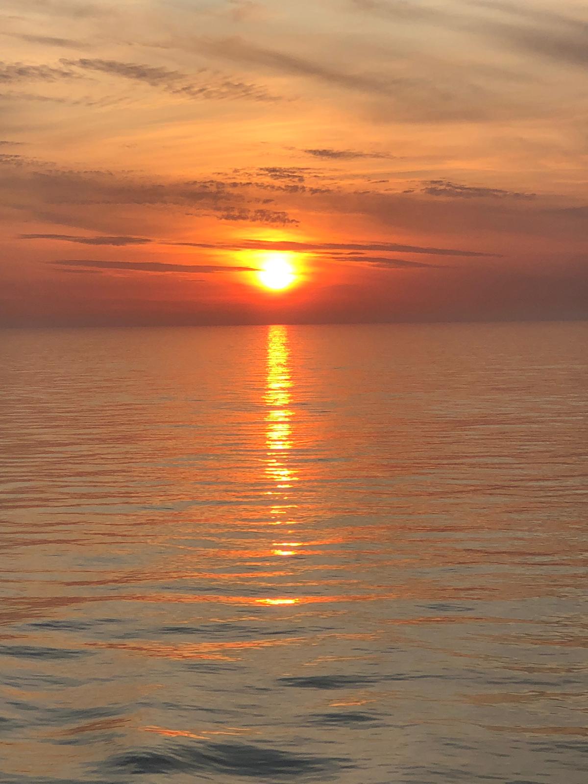 0589FC17-0C68-499D-BD10-A85CB7665107