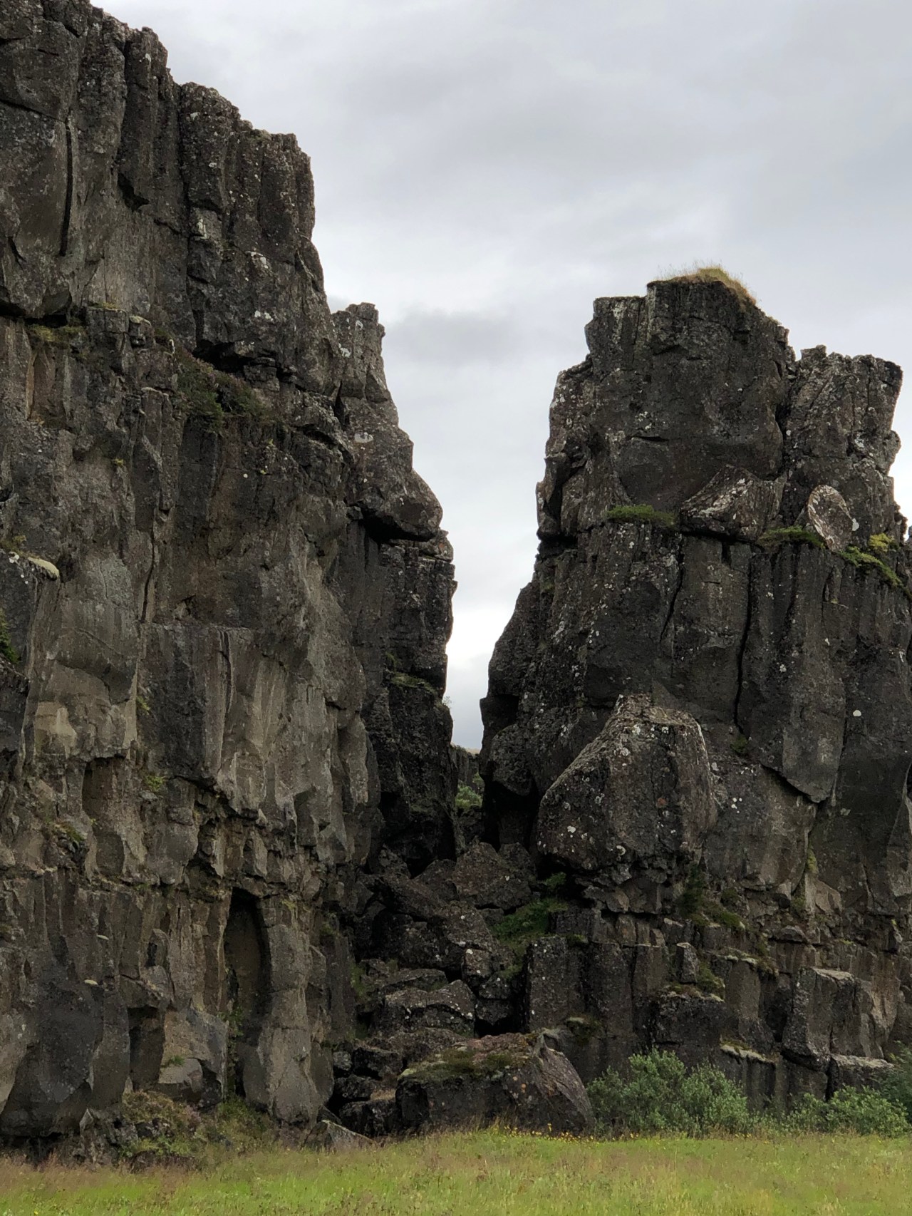 8FFC1D5C-D081-4EAF-AF07-2D50C9585C8B