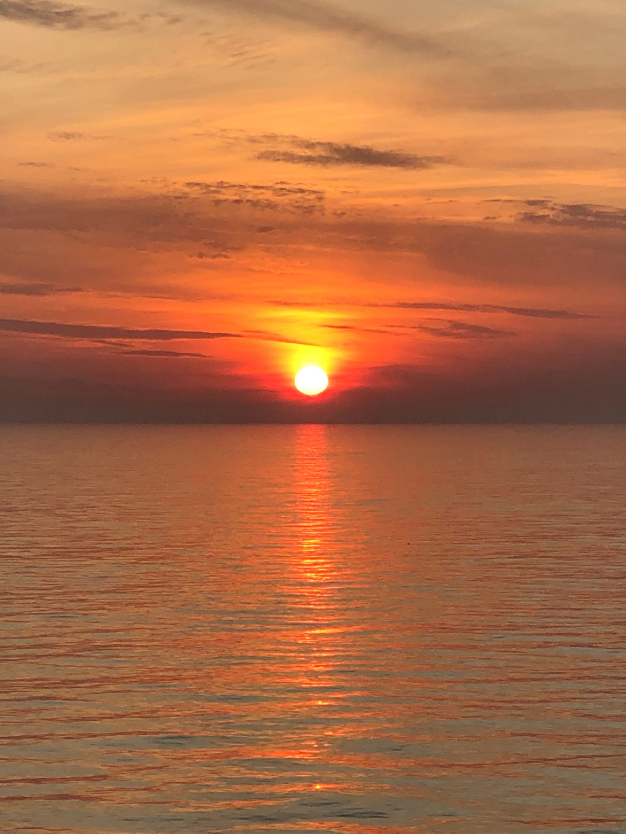 9A38F63B-9FE3-4601-B563-9067AB157DFF