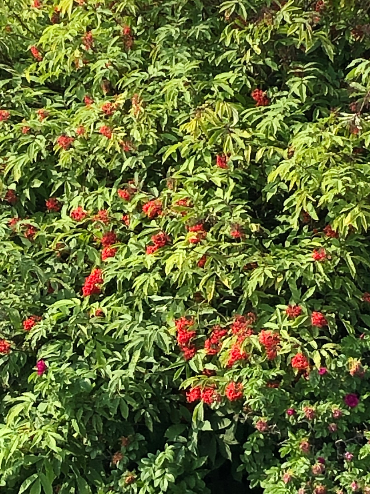 D47713A0-681B-4CC5-937E-2AD0EA8E2391